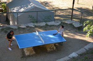 Activités Ping Pong